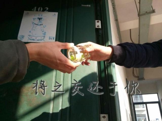 点击查看原图