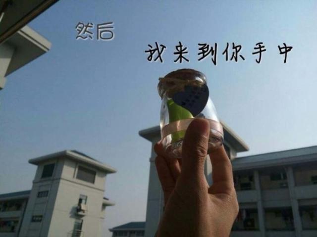 点击查看原图
